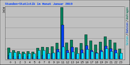 Stunden-Statistik im Monat Januar 2019