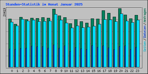Stunden-Statistik im Monat Januar 2025